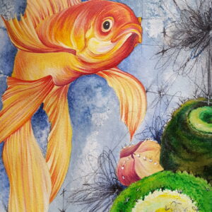 Pesce Cometa